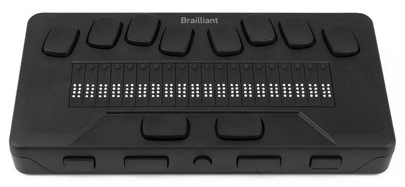 Brailliant BI 20X